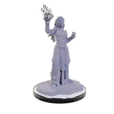 D&D Nolzur's Marvelous Minis: Wave 22- Elf Wizards