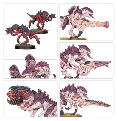 TYRANIDS: TERMAGANTS