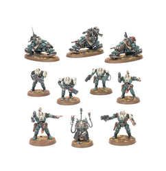 Maelstrom Battalion: Leagues of Votan